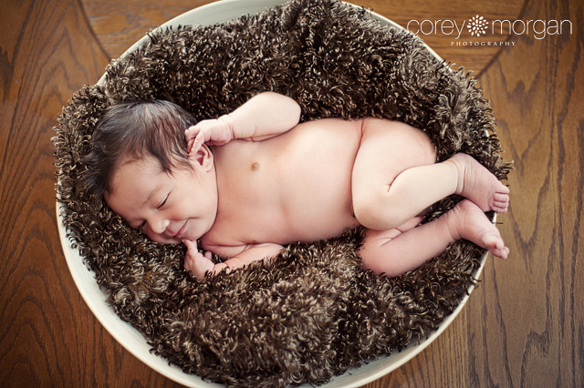 Newborn Baby Boy in Bowl - Riverside Newborn Photography
