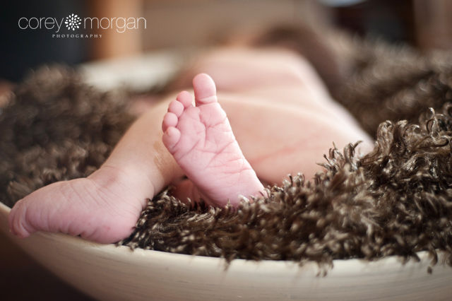 Baby Feet - Inland Empire Newborn Photography